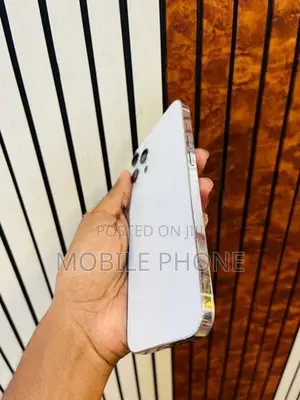 Apple iPhone 12 Pro Max (Used)