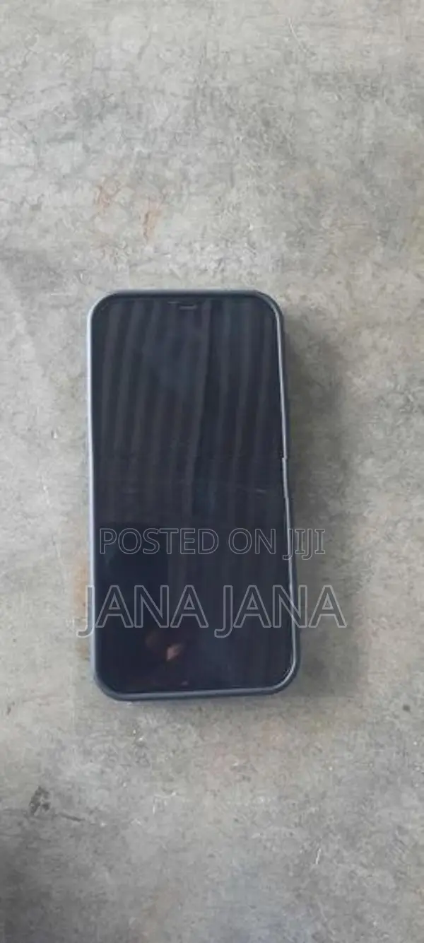 Apple iPhone 12 Pro Max (Used)