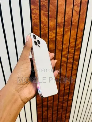 Apple iPhone 12 Pro Max (Used)