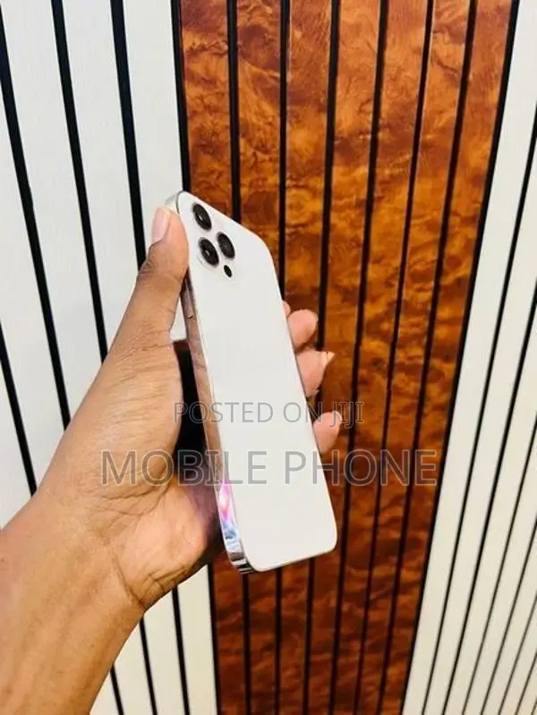Apple iPhone 12 Pro Max (Used)