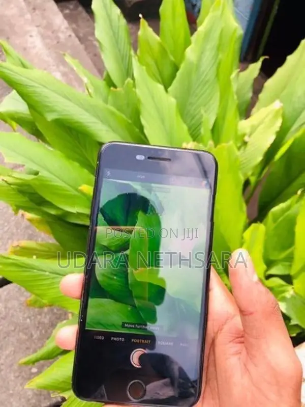 Apple iPhone 7 Plus 7plus (Used)