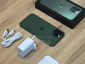 Apple iPhone 13 Pro Max 256GB (Used)
