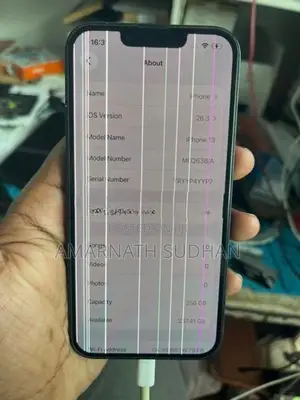 Apple iPhone 13 (Used)