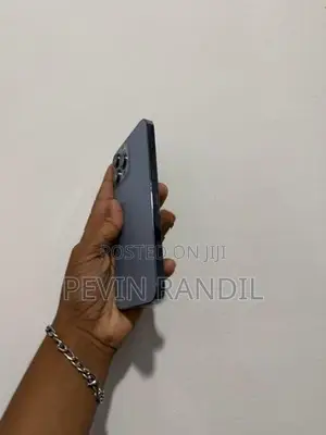 Apple iPhone 13 Pro Max (Used)
