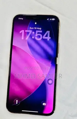 Apple iPhone 12 Pro Max (Used)
