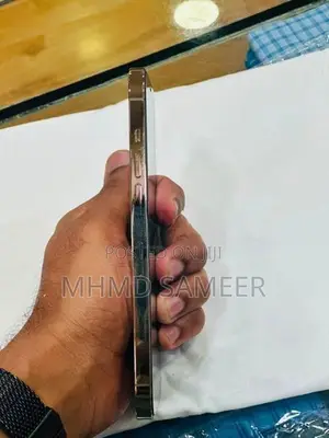Apple iPhone 12 Pro Max (Used)