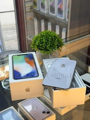 Apple iPhone X 256GB (Used)
