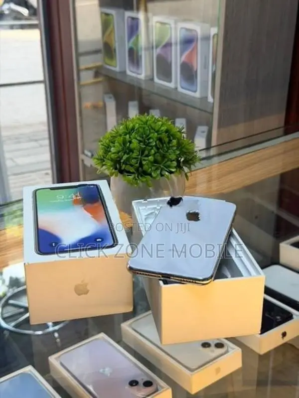 Apple iPhone X 256GB (Used)