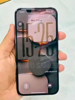 Apple iPhone 12 Pro Max (Used)