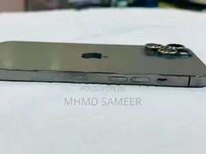 Apple iPhone 12 Pro Max (Used)