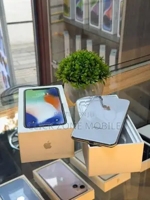 Apple iPhone X 256GB (Used)