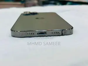 Apple iPhone 12 Pro Max (Used)