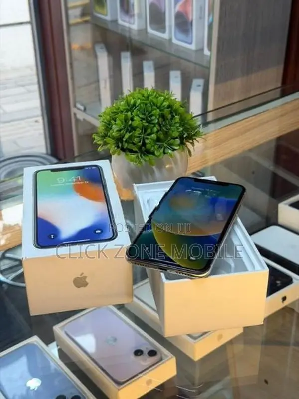 Apple iPhone X 256GB (Used)