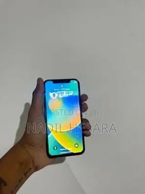Apple iPhone X 256gb (Used)