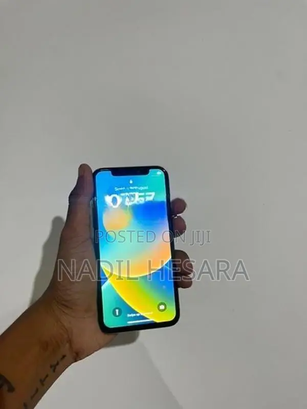 Apple iPhone X 256gb (Used)