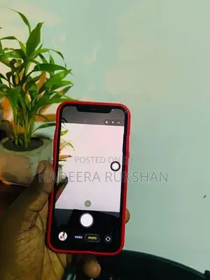 Apple iPhone 11 Pro (Used)