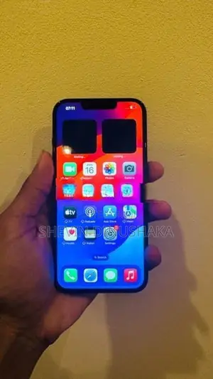 Apple iPhone 13 (Used)