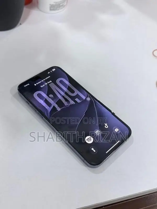 Apple iPhone 13 Pro Max 256GB (Used)
