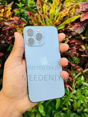 Apple iPhone 13 Pro (Used)