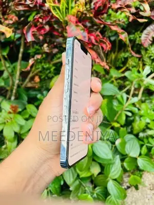 Apple iPhone 13 Pro (Used)