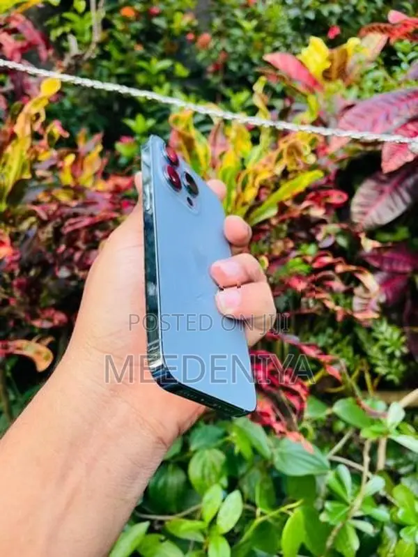 Apple iPhone 13 Pro (Used)