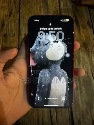 Apple iPhone 13 (Used)