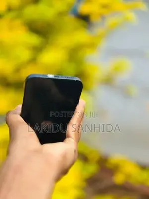 Apple iPhone 13 (Used)