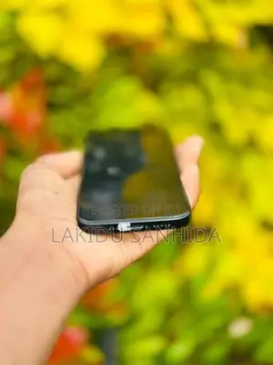 Apple iPhone 13 (Used)