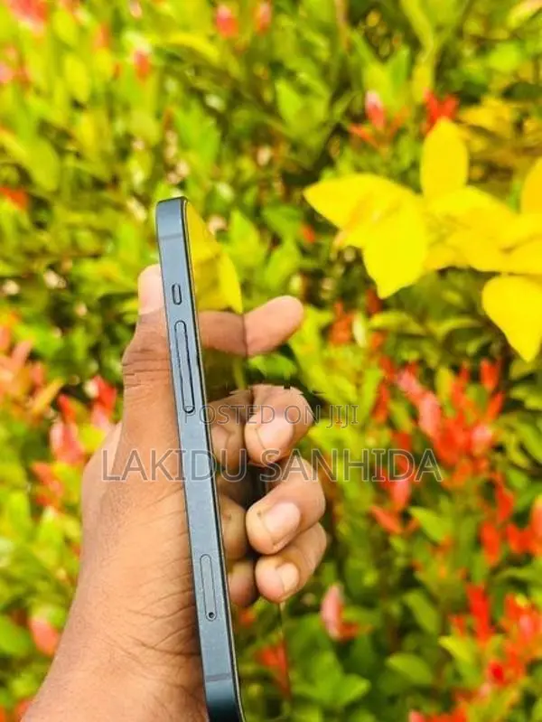 Apple iPhone 13 (Used)