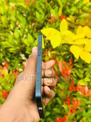 Apple iPhone 13 (Used)