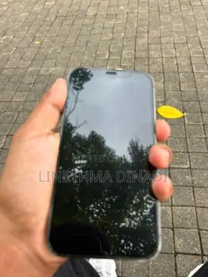 Apple iPhone 12 Pro (Used)