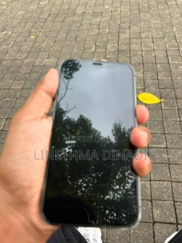 Apple iPhone 12 Pro (Used)