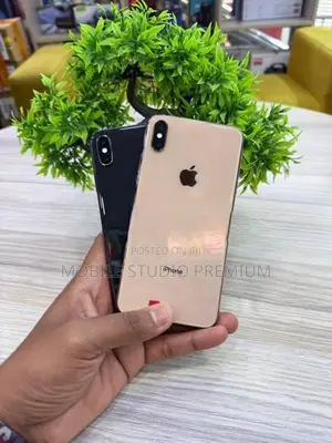 Apple iPhone XS Max (Used)