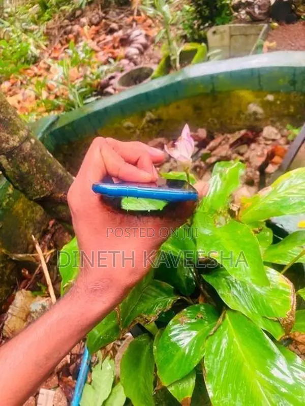Samsung Galaxy A50 (Used)