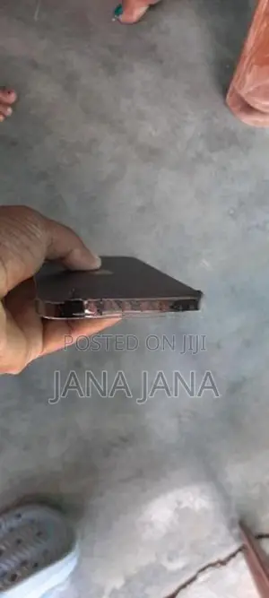 Apple iPhone 12 Pro Max Gray (Used)
