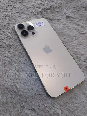 Apple iPhone 13 Pro Max (Used)