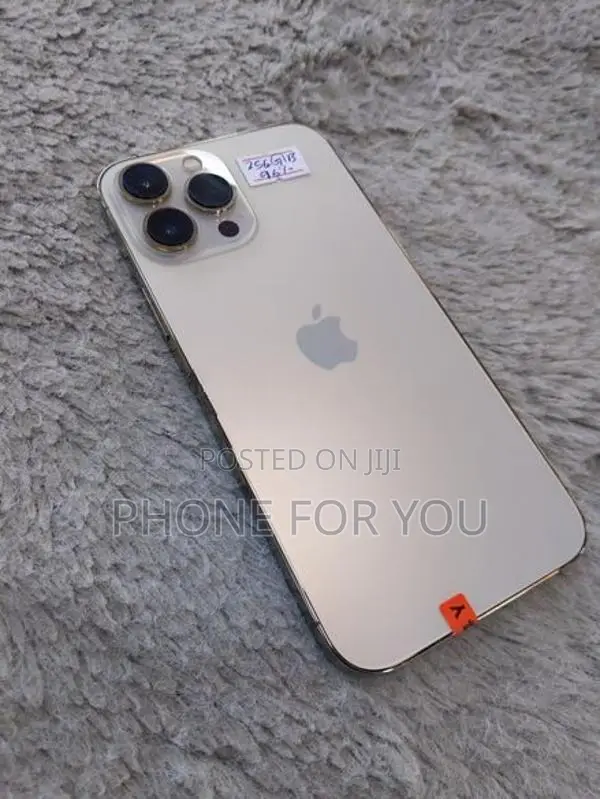 Apple iPhone 13 Pro Max (Used)