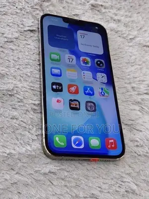 Apple iPhone 13 Pro Max (Used)