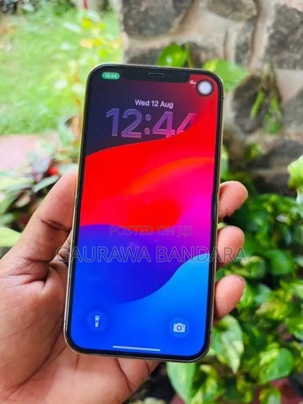 Apple iPhone 12 Pro 256GB (Used)