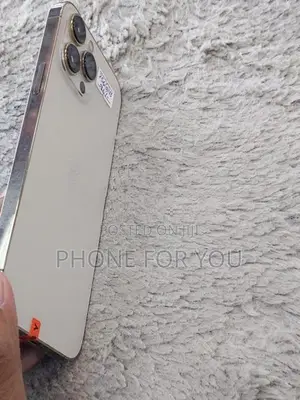 Apple iPhone 13 Pro Max (Used)