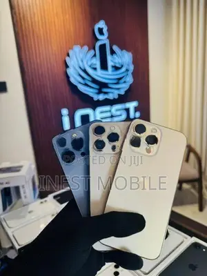 Apple iPhone 13 Pro 256 (Used)