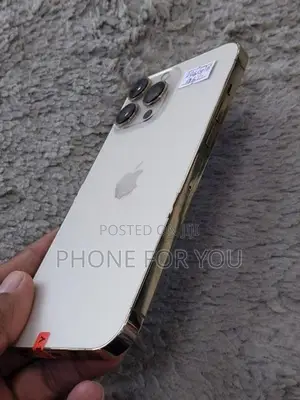 Apple iPhone 13 Pro Max (Used)