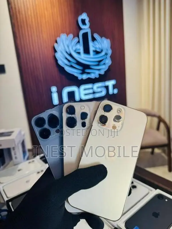 Apple iPhone 13 Pro 256 (Used)