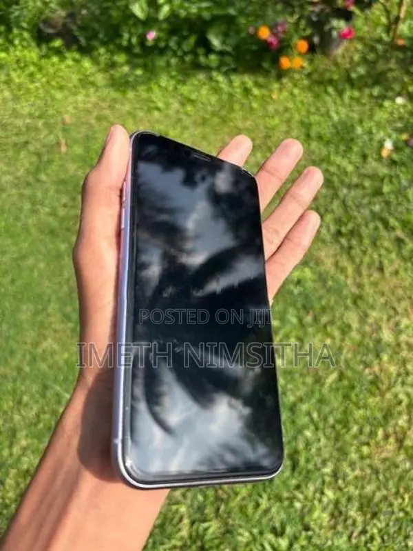 Apple iPhone 11 (Used)