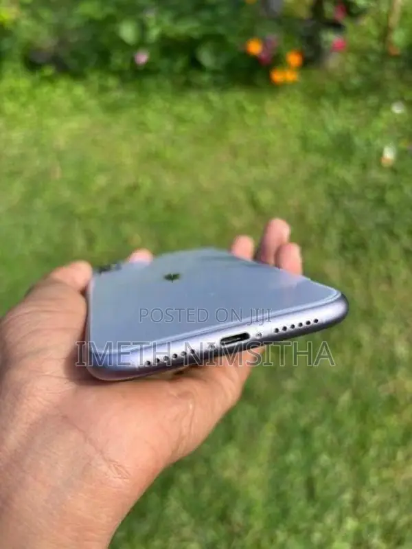 Apple iPhone 11 (Used)