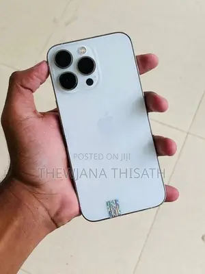 Apple iPhone 13 Pro 256GB (Used)