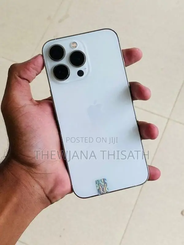 Apple iPhone 13 Pro 256GB (Used)