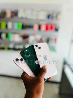 Apple iPhone 13 128GB Fullset Box (Used)