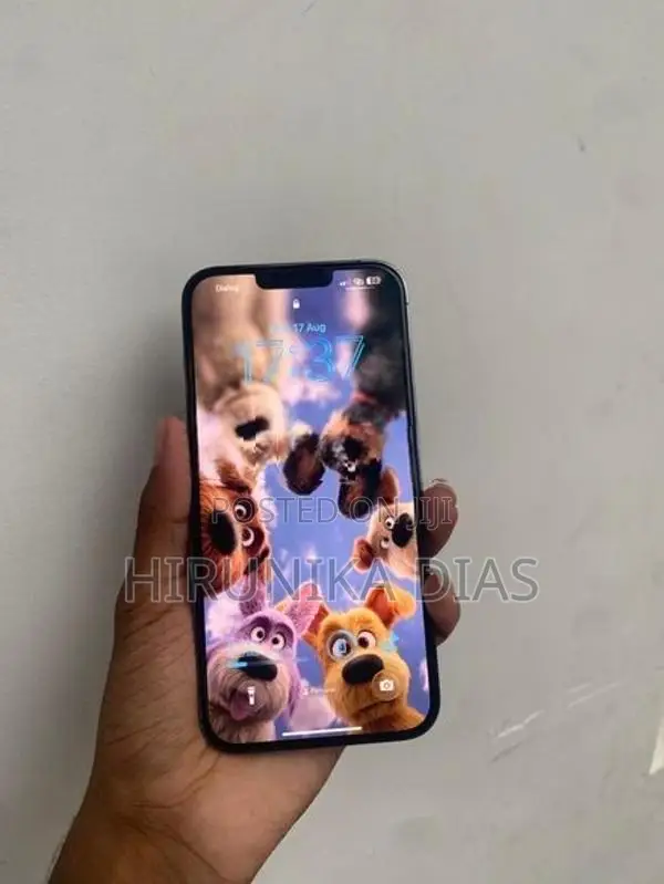 Apple iPhone 13 Pro Max 256GB (Used)