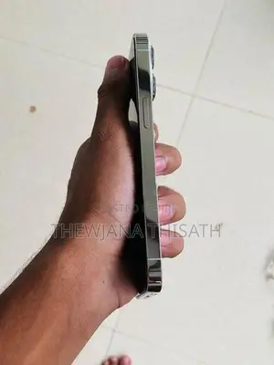 Apple iPhone 13 Pro 256GB (Used)